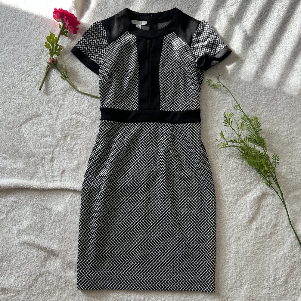 Classic Black and White Business Dress | London Times Dress | Formfitting Dress